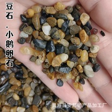 厂家直供鹅卵石滤料 地暖回填豆石人工湿地污水处理滤料鹅卵石