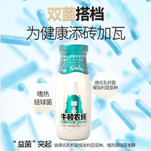内蒙古牛顿乳业牛顿农场玻瓶健康营养酸奶中国佐餐奶开创品牌