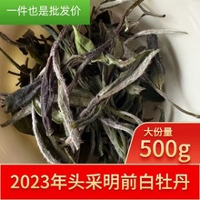 2023年福建春茶新茶白茶明前高山白牡丹散茶自然花香500g厂家批发