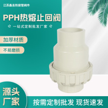 PPH热熔止回阀 厂家现货供应PPH塑料 可批发量大 化工管件配件