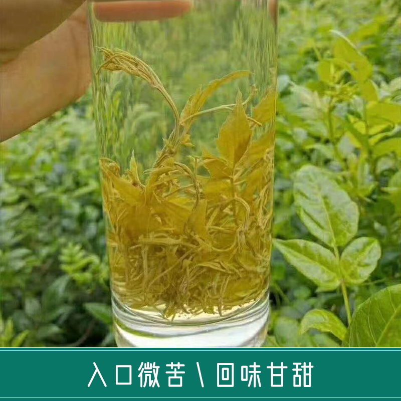 张家界野生莓茶咽喉茶土家甘露茶龙须嫩芽尖霉茶长寿藤茶