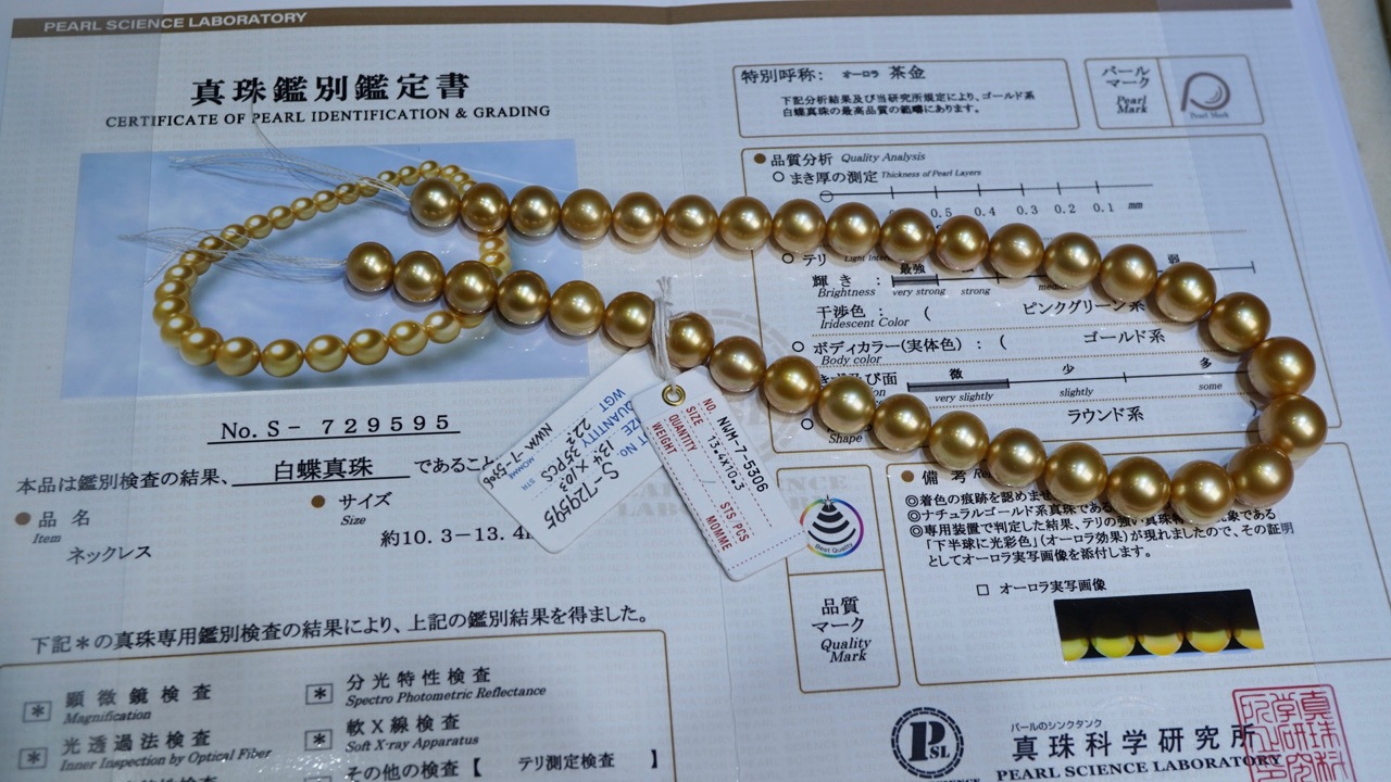 南洋金珠项链日本真科研茶金天然色海水珍珠项链一对一日本大证书