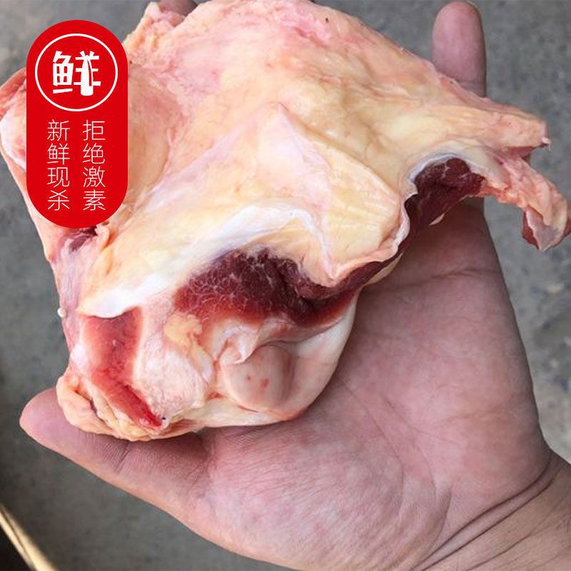 牛窝骨新鲜带筋带肉4斤冷冻包邮牛膝盖脆骨和尚熬汤烧烤批发跨境