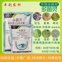 华星50%多菌灵农药杀菌剂多灵菌果树病害纹枯病稻瘟病叶斑赤霉病