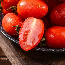 小西红柿圣女果现摘新鲜蔬菜樱桃小番茄非千禧小柿子孕妇水果零食