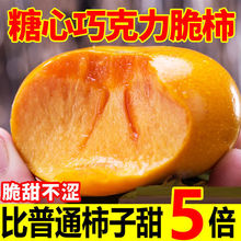 巧克力甜脆柿水果当季新鲜广西阳丰硬柿子黄柿整箱批发