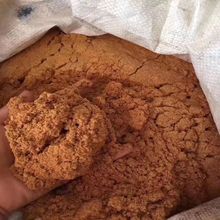厂家供应酵素浴原料红豆杉酵素浴原料