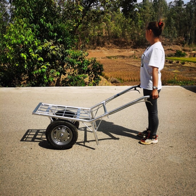 农用独轮双轮鸡公车家用果园搬运小推车拖拉货平板养殖翻斗老虎车