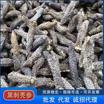 产地货源淡干海参刺秃参带刺参黑刺参海味干货酒店食材150头200全