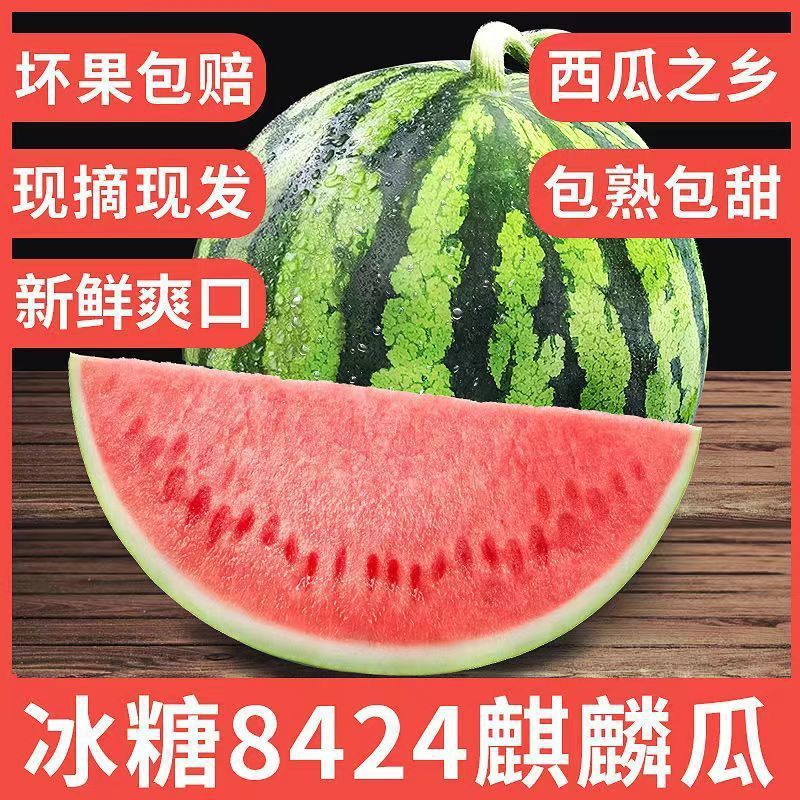 新鲜正宗冰糖麒麟瓜美都西瓜甜美多汁水果皮薄无籽有籽现摘现发