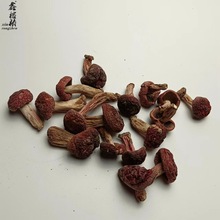 鑫榕钰 红菇大正品红菌 福建食用菌 土特产干货500克