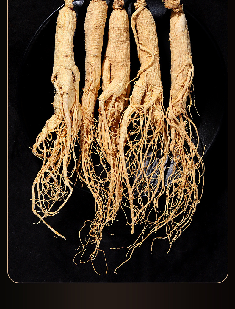 干参礼盒带须人参现货供应生晒参白参全须整枝原皮参高年人参批发