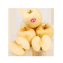 佳农山东维纳斯苹果 净重500g 黄金奶油富士 新鲜水果