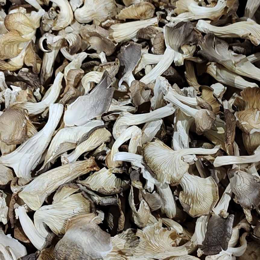 叶小玲古田秀珍菇干货500g干姬菇煲汤凤尾食用菌秀珍菇年货