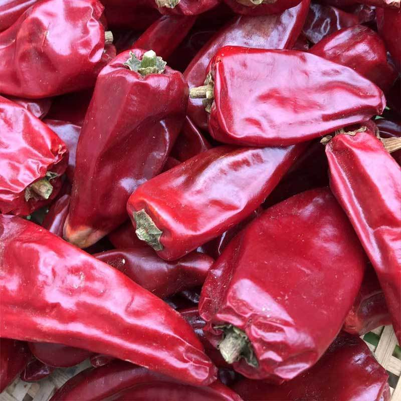 新疆辣椒不辣的大板椒出红油铁板椒辣的红辣椒北京红辣椒批发包邮