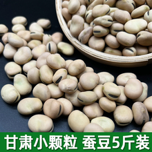 蚕豆干货生小粒蚕豆5斤散装蚕豆兰花豆蚕豆商用2023年新鲜干胡豆