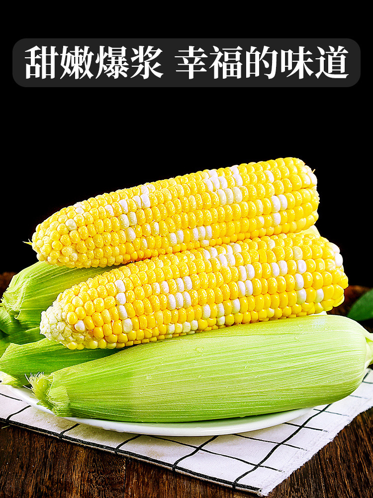 云南金银水果玉米10斤新鲜生吃甜玉米棒子粒粘糯黏苞谷米蔬菜包邮