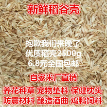 发酵稻谷壳新鲜稻壳谷壳宠物枕头填充材料喂鸡养草松土原材料