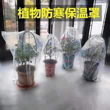 绿植防冻保温袋透明塑料膜花卉盆栽过冬保护罩树木防寒保温防尘罩