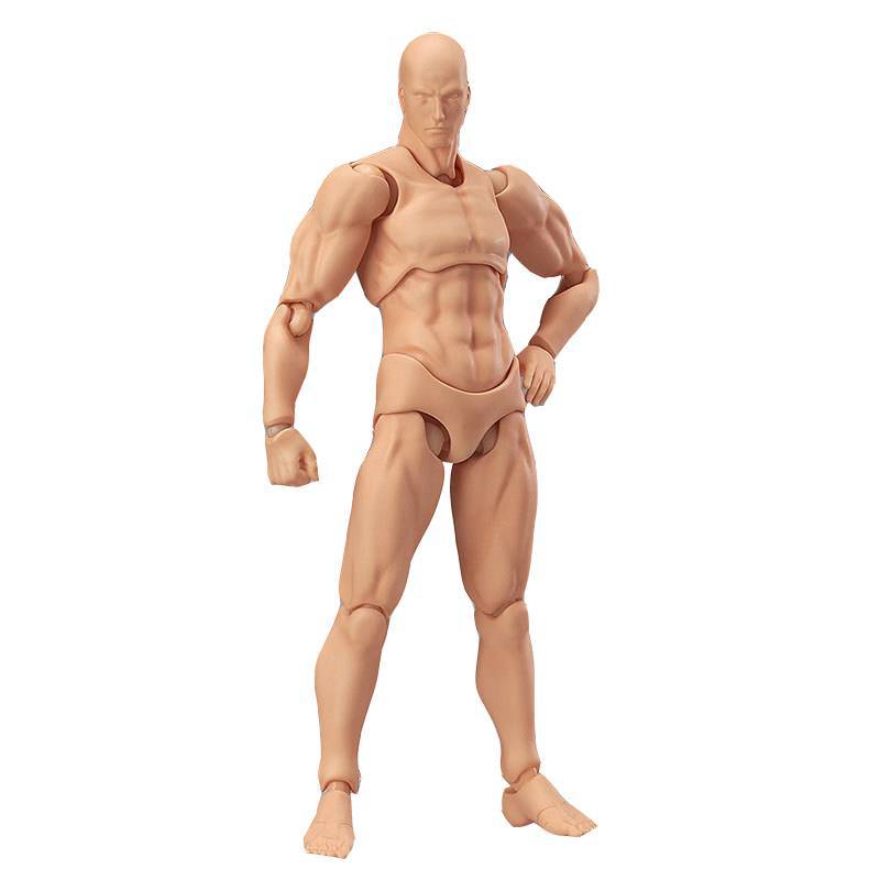 figma素体美术人体模型玩具日本人偶关节可动成人绘画肌肉shf素体