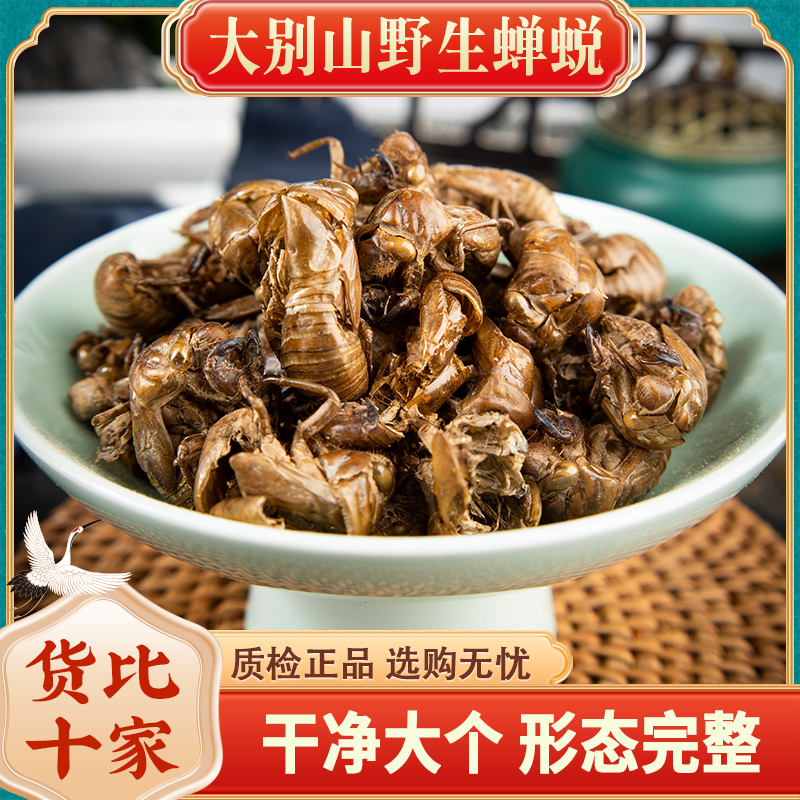 一件代发蝉蜕100g克蝉衣新货金蝉衣知了皮知了壳虫退蝉退壳材包邮