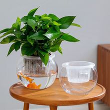 透明花瓶玻璃花盆创意绿萝植物水培室内水培器皿水养养花养鱼鱼缸