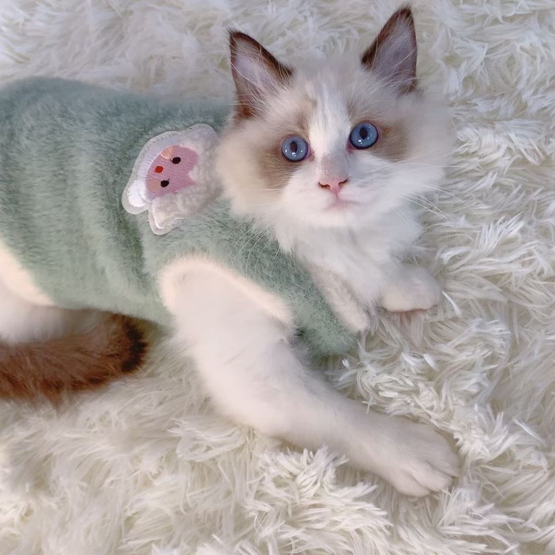 Cat Clothes Autumn and Winter Ragdoll Warm Vest Fluffy Jacket Pet Dog Clothes Kitten Cat Kittens Anti-Lint