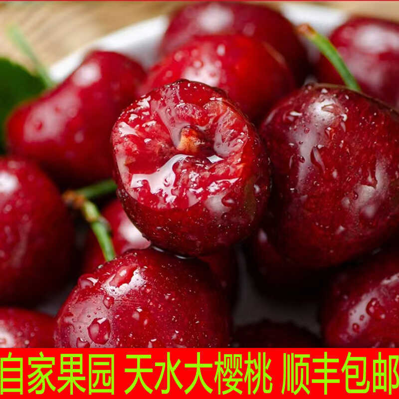 甘肃天水大樱桃现摘现发新鲜超甜特产5斤当季车厘子孕妇水果顺丰