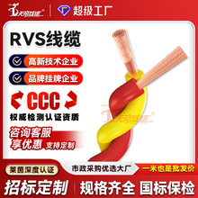 加工定制天帝RVS花线电源线纯铜2芯0.75 5 1.5 2.5平方双绞股电缆