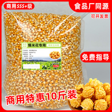 球形爆米花专用玉米粒10斤商用美式优质爆裂小玉米非转基因袋装