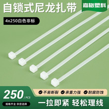 厂家销售自锁式尼龙扎带4*250mm非标250条塑料绑线扎带捆扎绳索带
