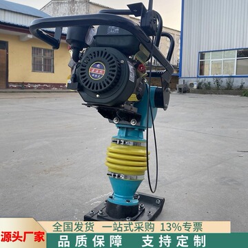 低级汽油柴油打夯机 电动单项打夯机 人行道路基震动夯实设备