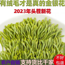 正品金银花茶特级熬夜茶散装250g半斤 带绒毛金银花500克新货无硫