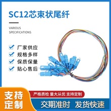 热销好货高颜值 光纤 SC12芯束状 尾纤 耐用品质保证快速发货