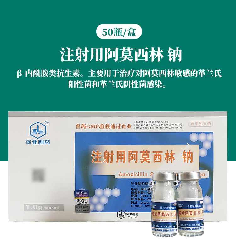 注射用阿莫西林钠兽药兽用1g50瓶猪牛羊犬用广谱消炎药