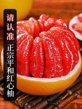福建平和红心柚子蜜柚红肉新鲜水果当季整箱斤管三红琯溪蜜管红柚