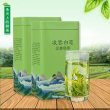 广西特产八桂凌云白毫茶一级春茶叶高山生态雨前云雾绿茶罐装