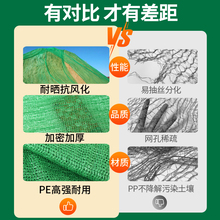 防尘网建筑工地绿网覆盖绿化网盖土网防尘绿网遮地网裸土沙石6针