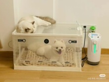 猫咪雾化箱诊所猫咪狗狗蓝猫医院氧气毛孩子吸氧舱吸氧仓家用