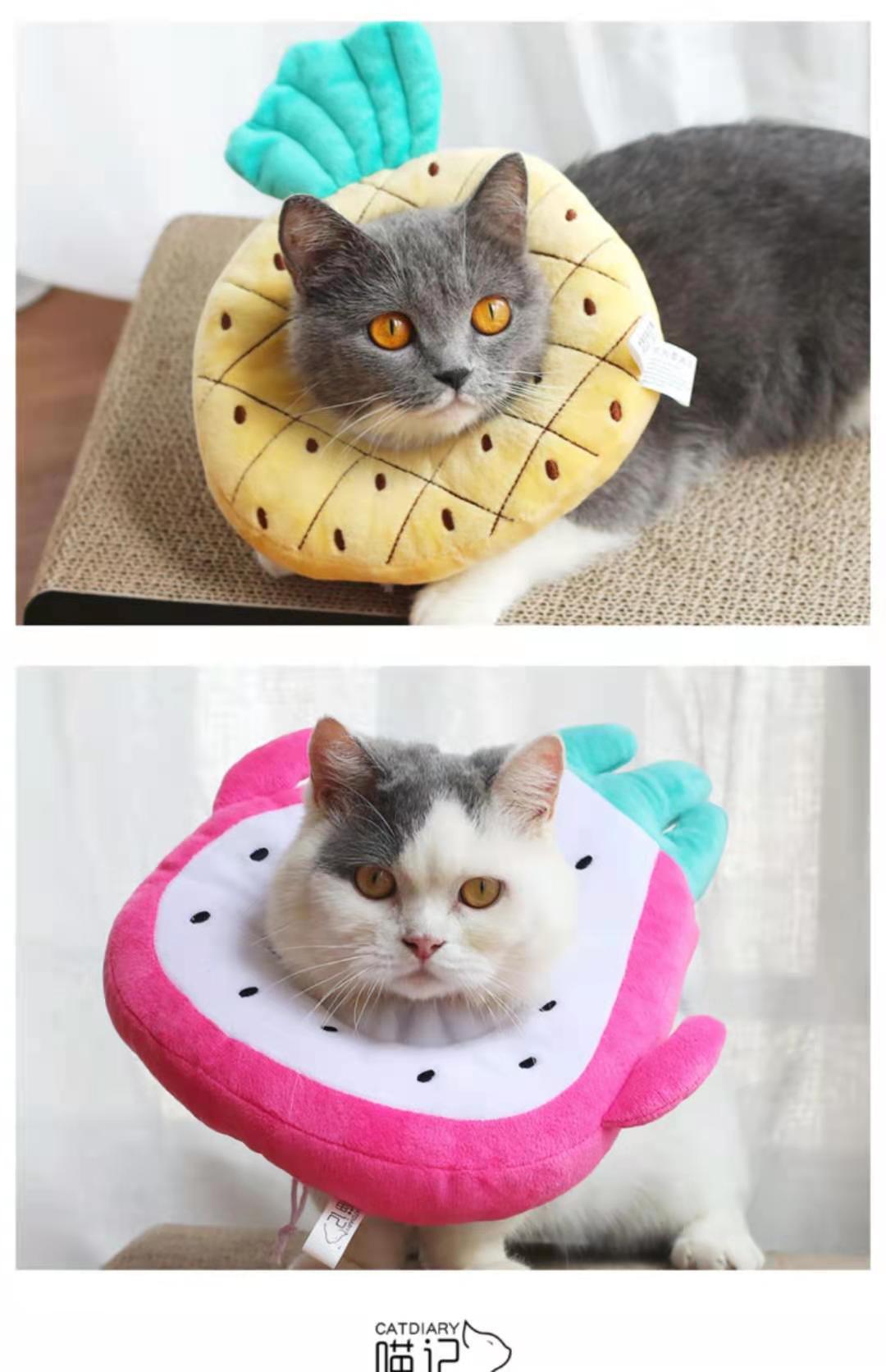 伊丽莎白圈猫咪项圈猫脖圈防舔伊利沙白耻辱圈甜甜圈绝育项圈水果