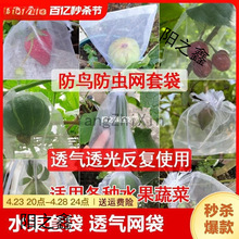 网套无花果套袋防虫防草莓水果葡萄番茄透气保护小型果实鸟花果袋