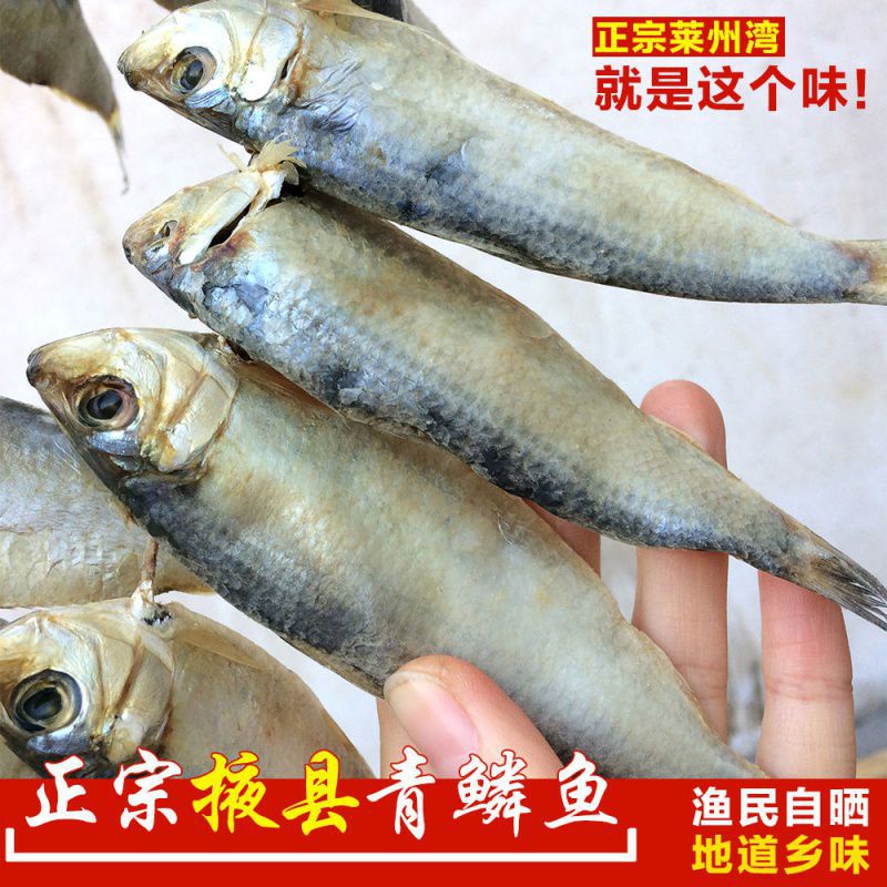 青鳞子鱼 莱州特产 掖县特产 青鳞鱼 青林鱼 青鱼干 柳叶鱼干