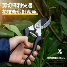 修枝剪绿林园艺剪刀果树剪树枝专用德国进口加厚工艺修剪枝花艺剪