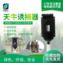 中捷四方天牛诱捕器旧款搭配天牛诱芯引诱剂