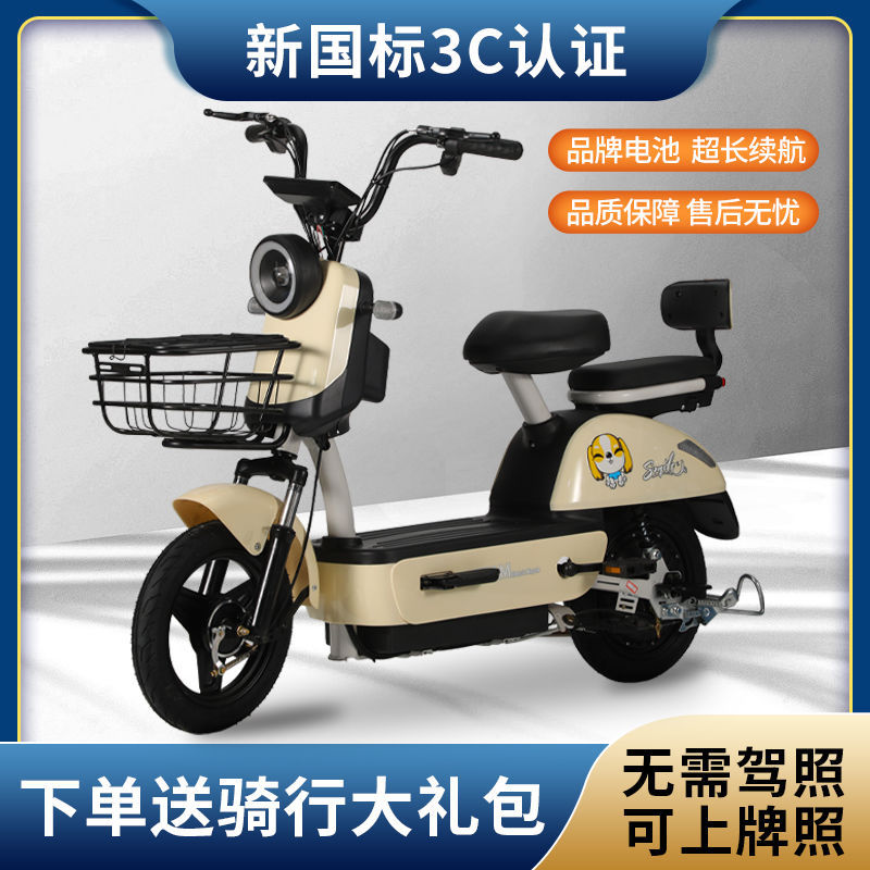 电动车厂家双人两轮48电动自行车锂电池女士小型电瓶车代步车热