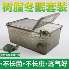 乌龟冬眠用品吸水树脂保温箱冬眠过冬装备新型套装乌龟冬眠箱