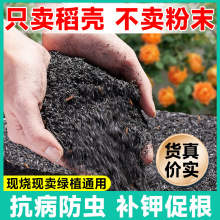 稻壳炭园艺腐熟谷壳碳颗粒纯草木灰肥料钾肥发酵菜花用营养土