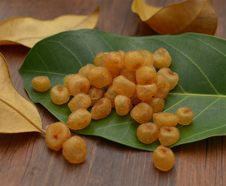 精选新货特级大10a桂圆肉无核高州野生老树龙眼肉干500g罐装泡水