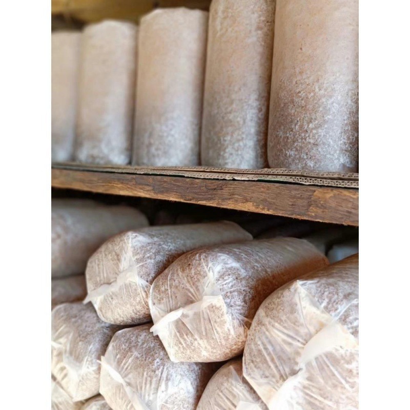 东北黑木耳菌包秋木耳黑龙江食用菌三级菌种菌棒蘑菇种子栽培种