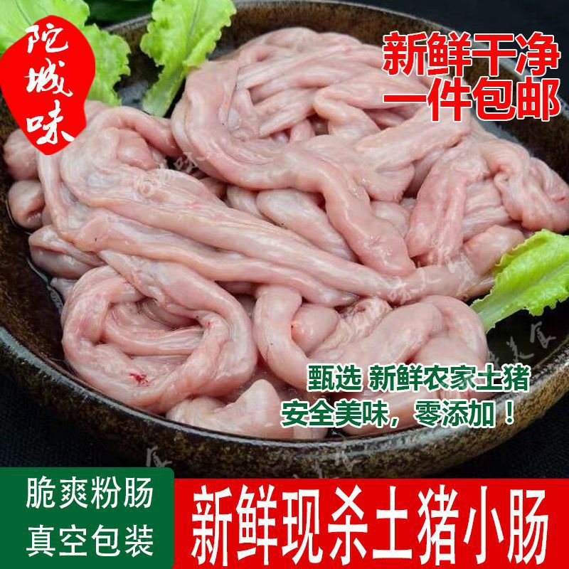土猪新鲜猪小肠圈圈肠生苦肠猪肠子灌血肠猪大肠粉肠猪肉批发批发
